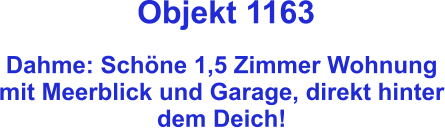 Objekt 1163  Dahme: Schöne 1,5 Zimmer Wohnung mit Meerblick und Garage, direkt hinter dem Deich!